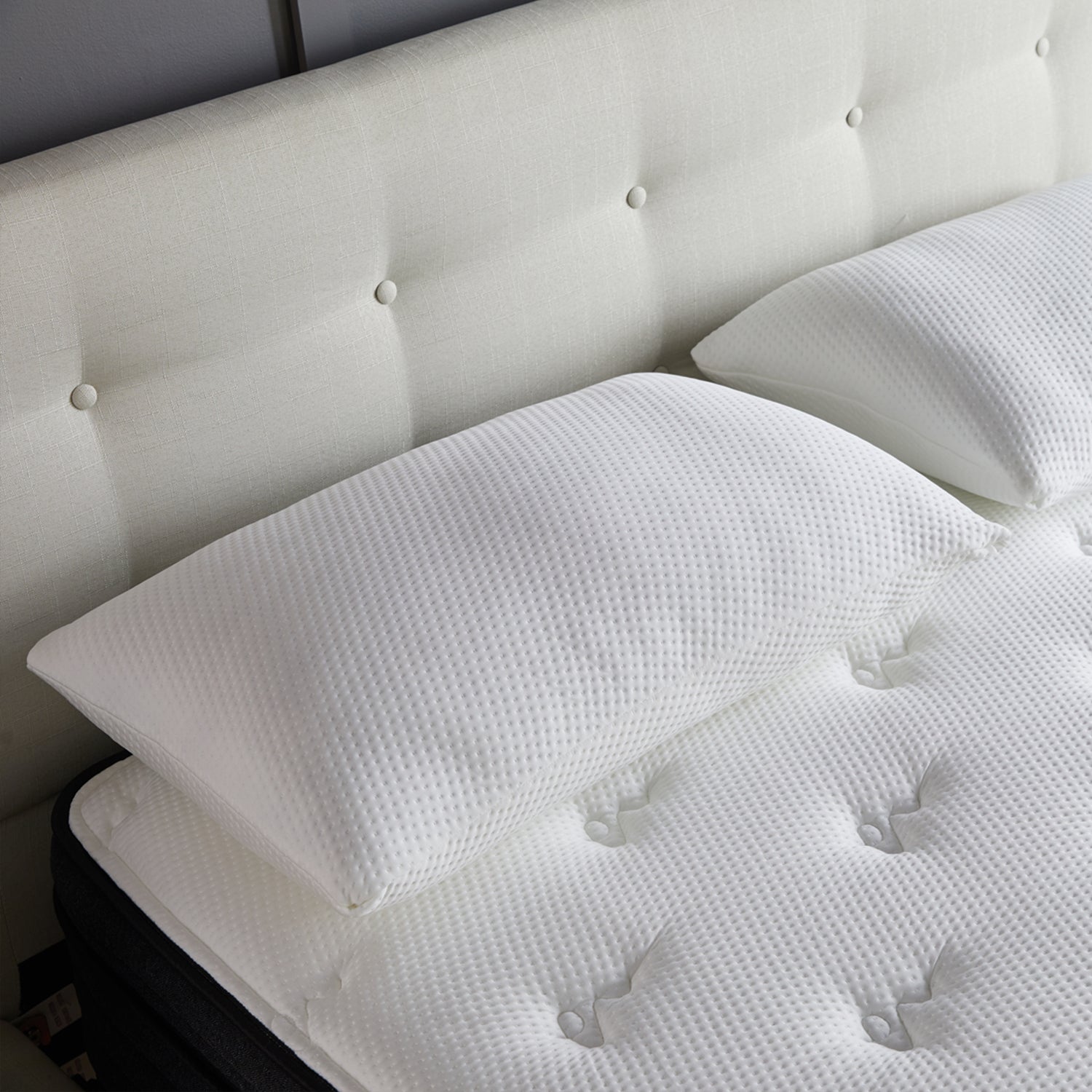 The Wilderness Pillow