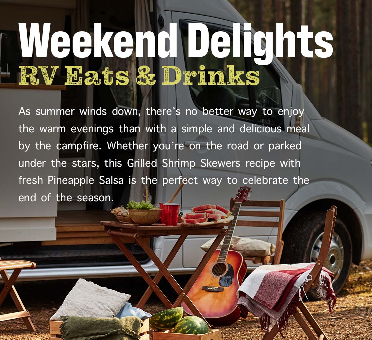 Pineapple Rv Grilled Shrimp Skewers with Pineapple Salsa – Wilderness RV Mattress, LLC